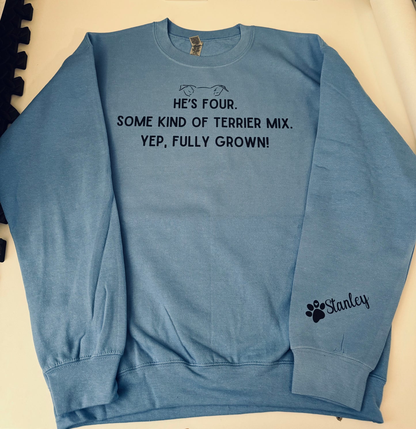 Custom Crewneck Sweater