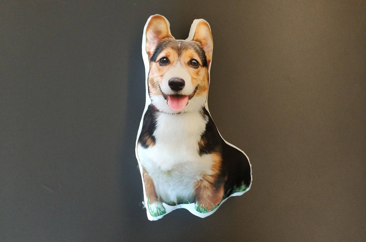 Pet pillow custom cutout