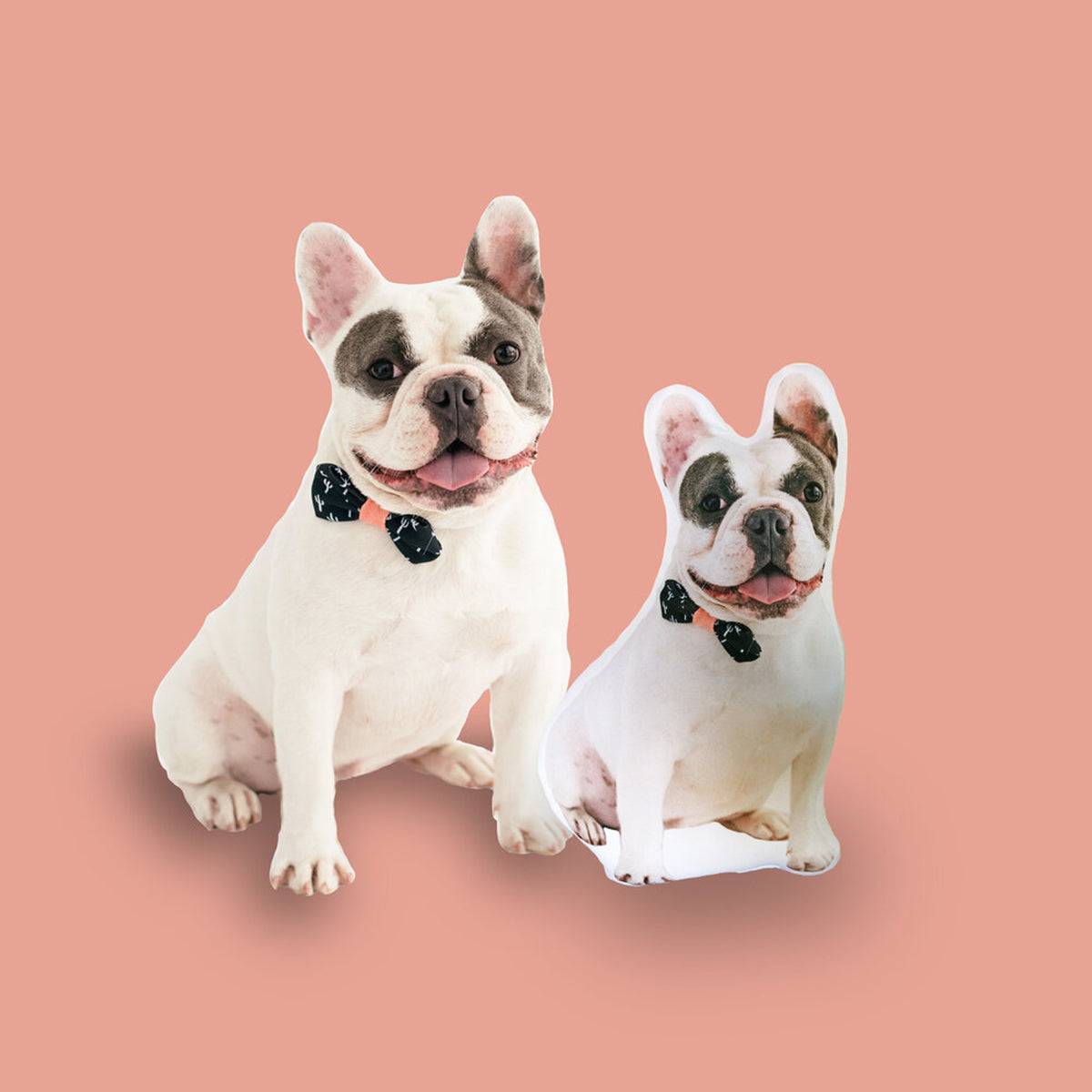 Pet pillow custom cutout