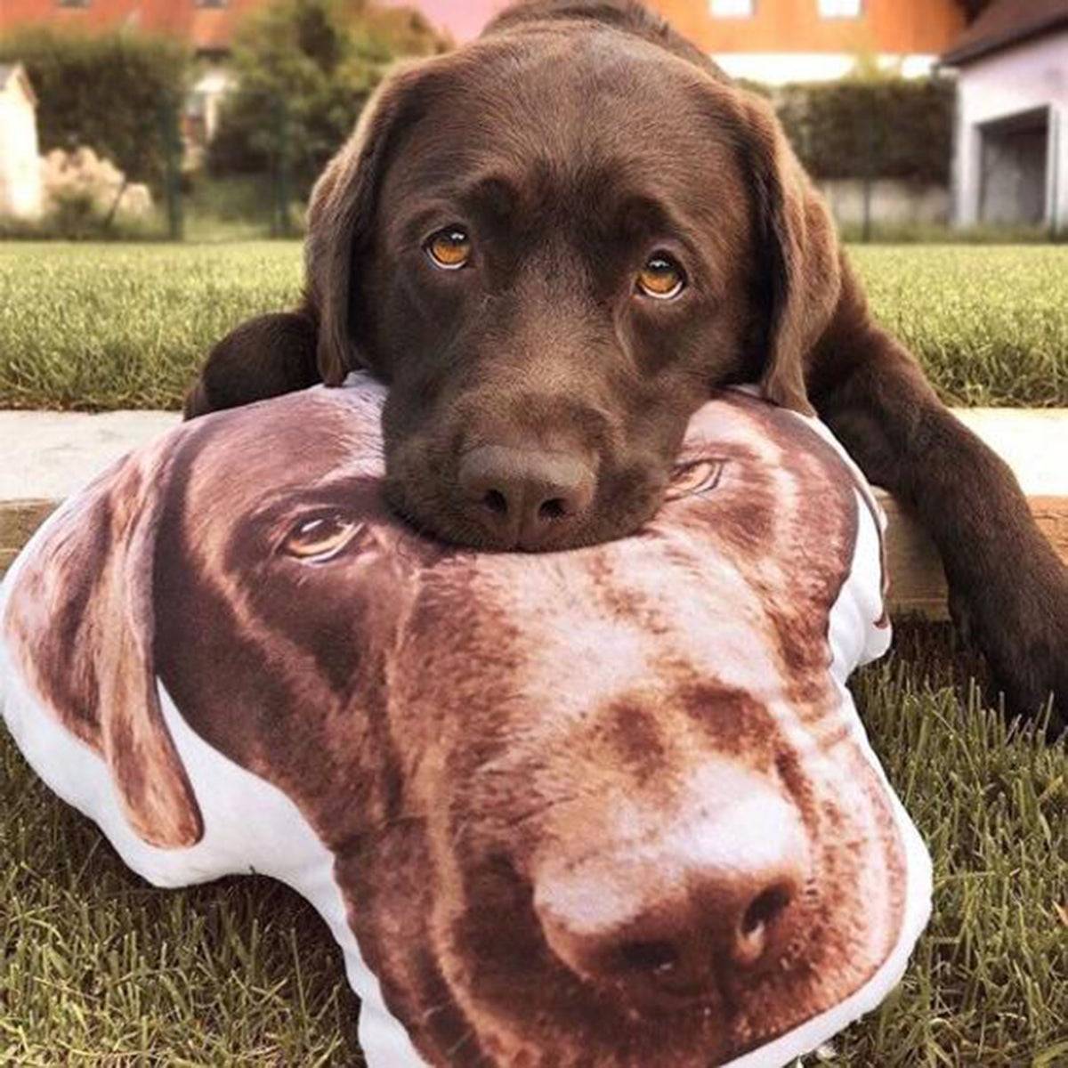 Pet pillow custom cutout